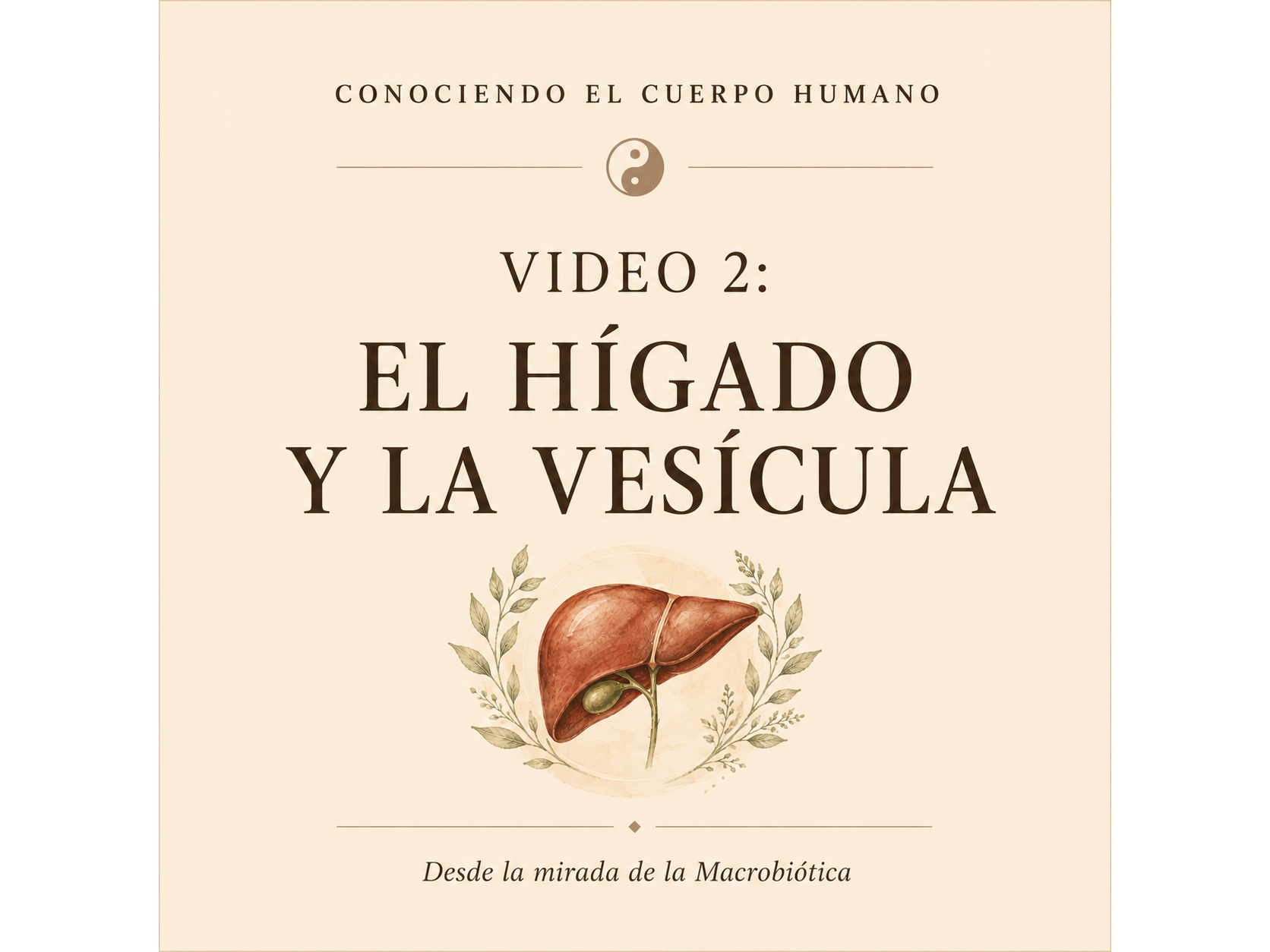 Video 2: El Hígado y la Vesícula