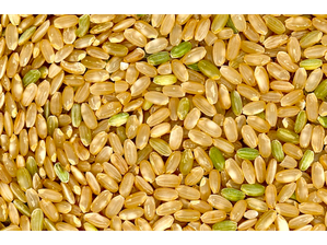 Arroz Yamani organico de Frutos Secos Gral. Roca | Minorista