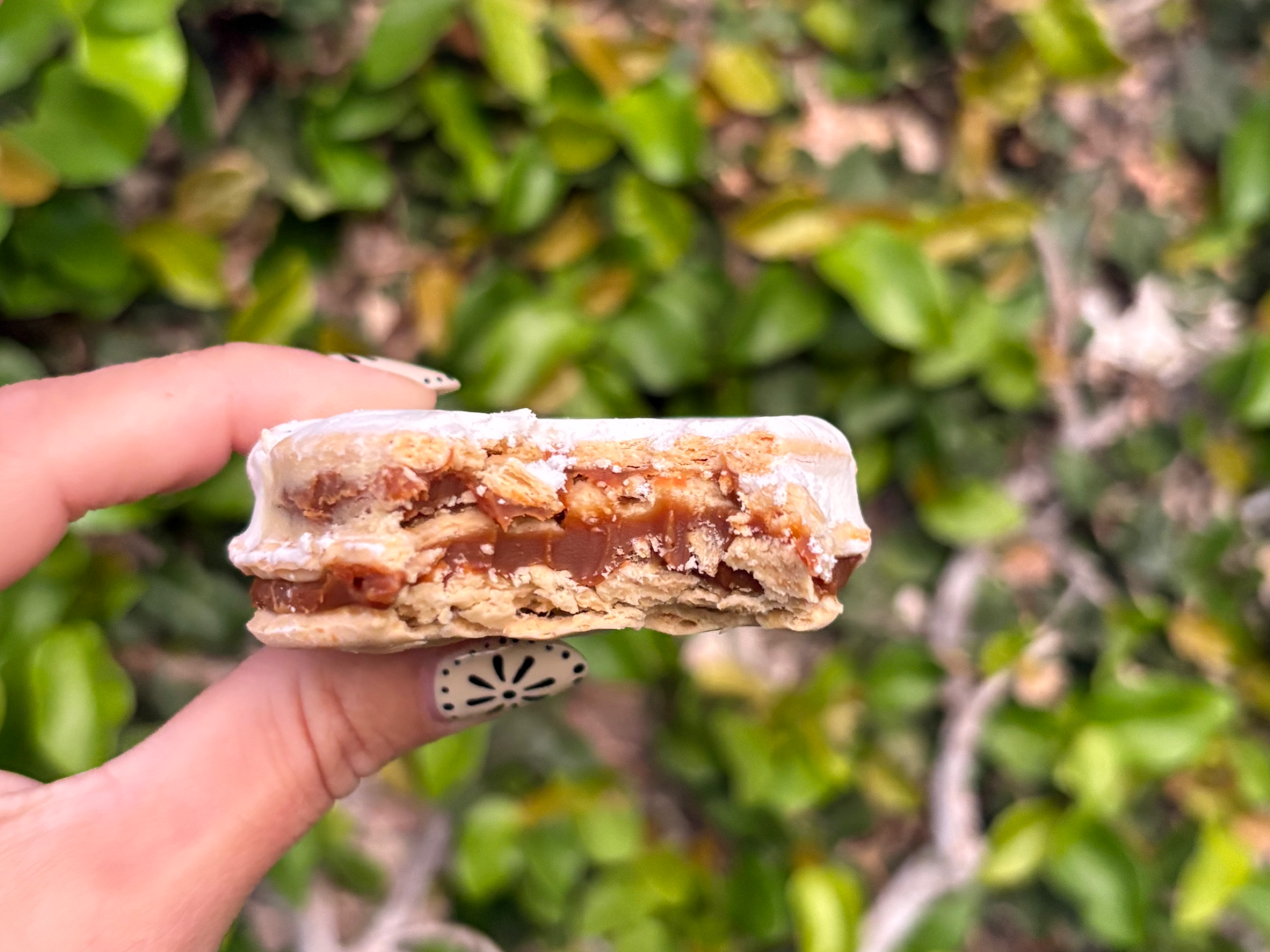 Alfajor santafesino