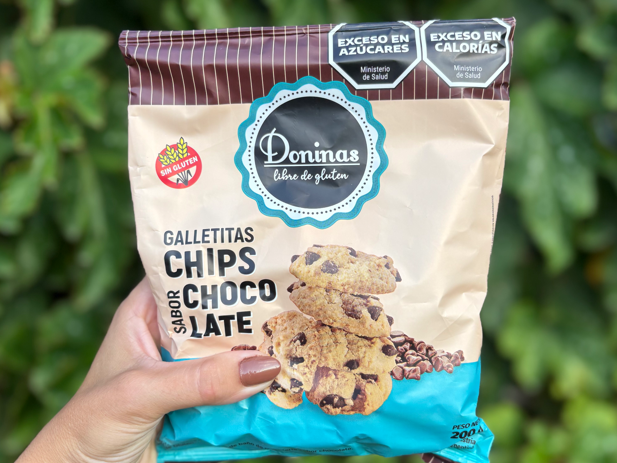 Galletas con chips de chocolates