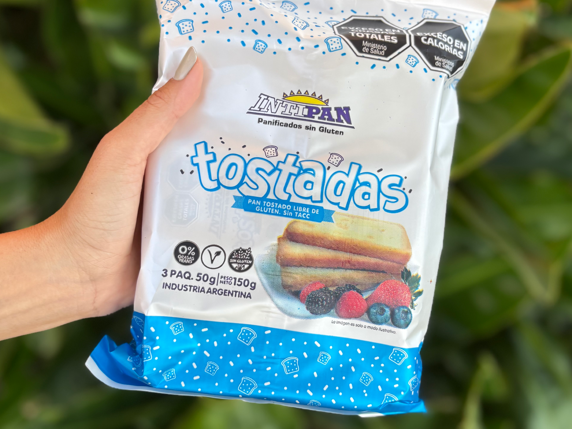Tostadas