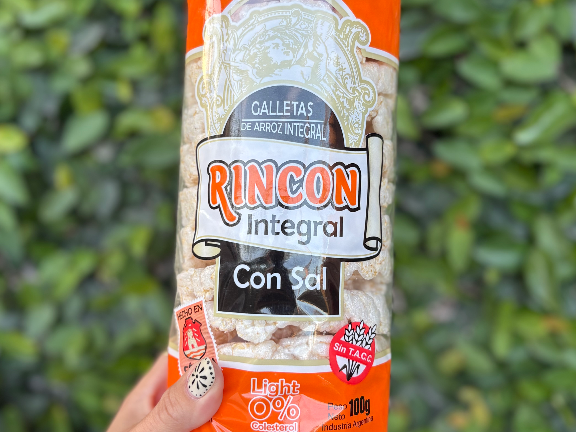 Discos de arroz con sal