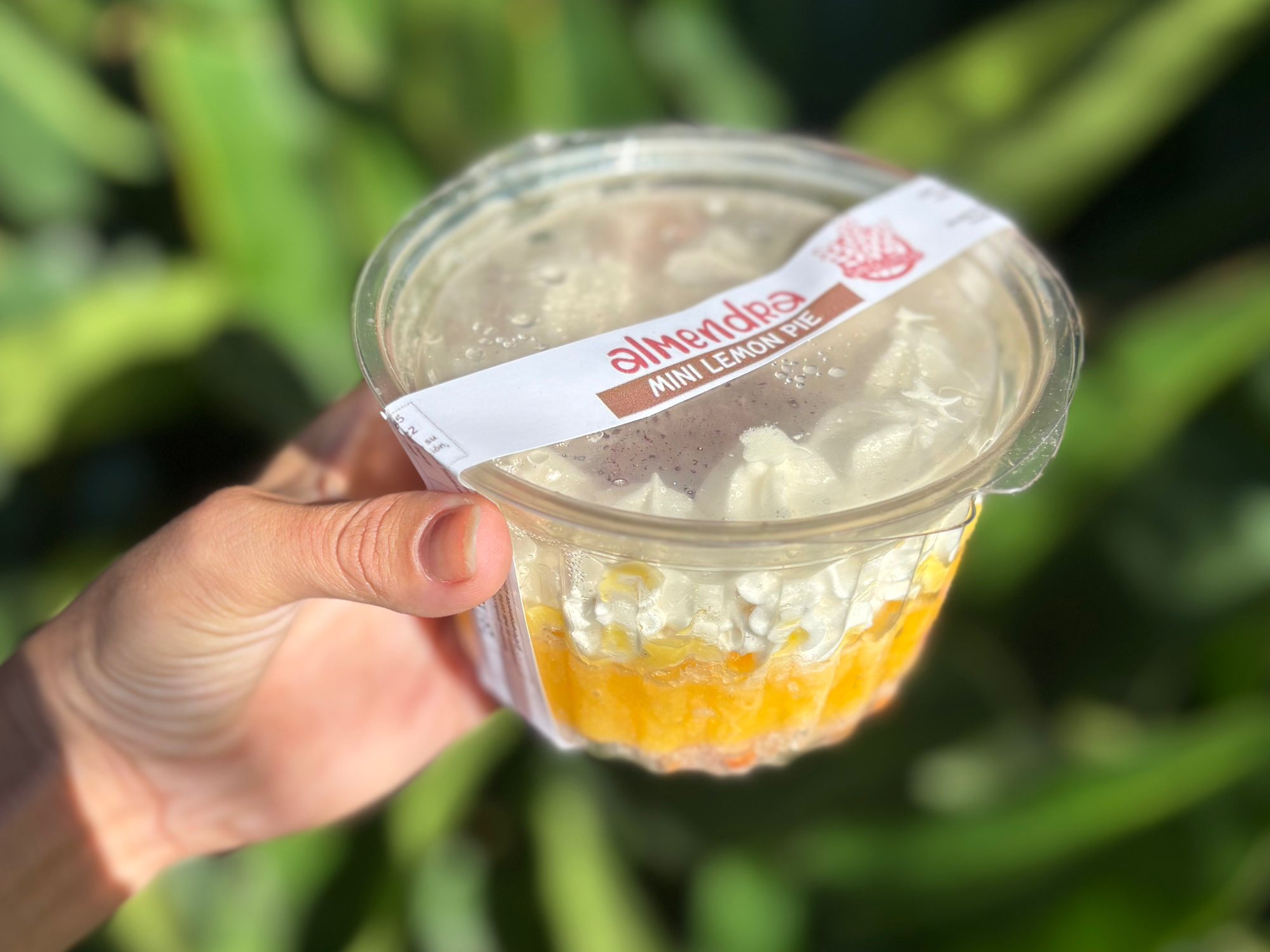 Lemon pie individual