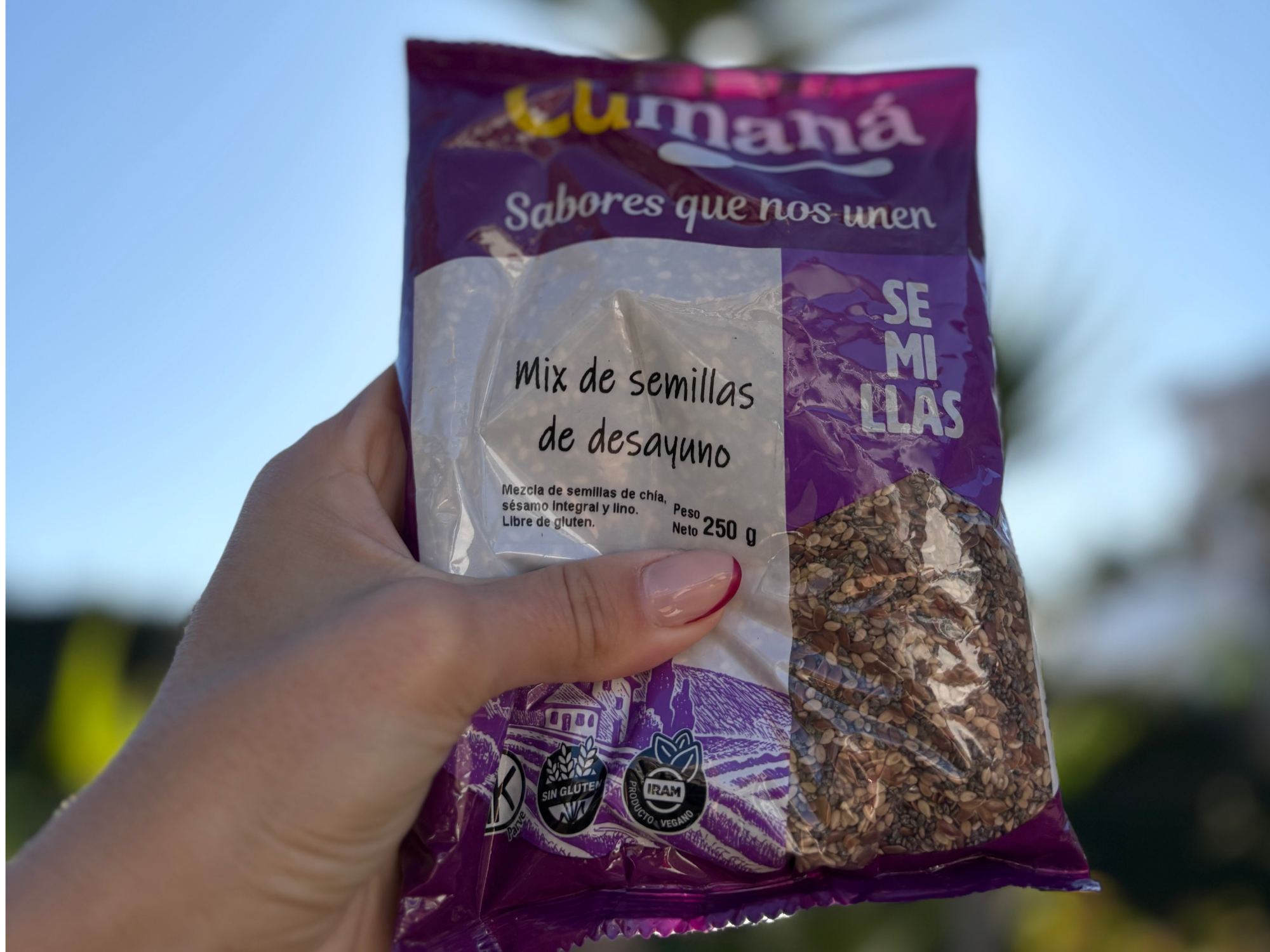 Mix semillas de desayuno