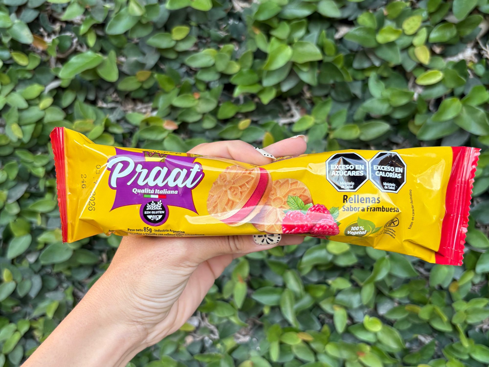 Rellenas con frambuesa