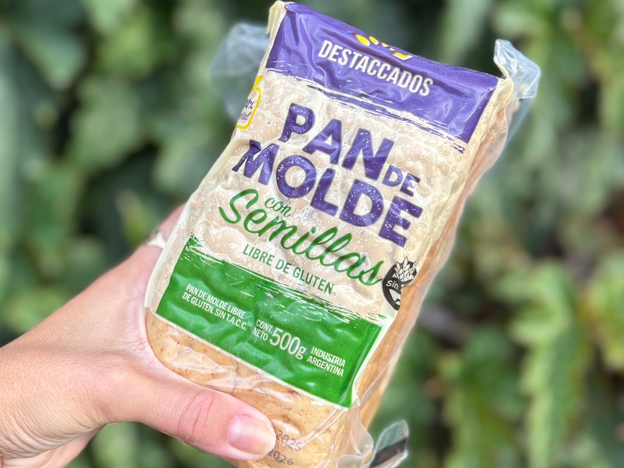 Pan de molde con semillas