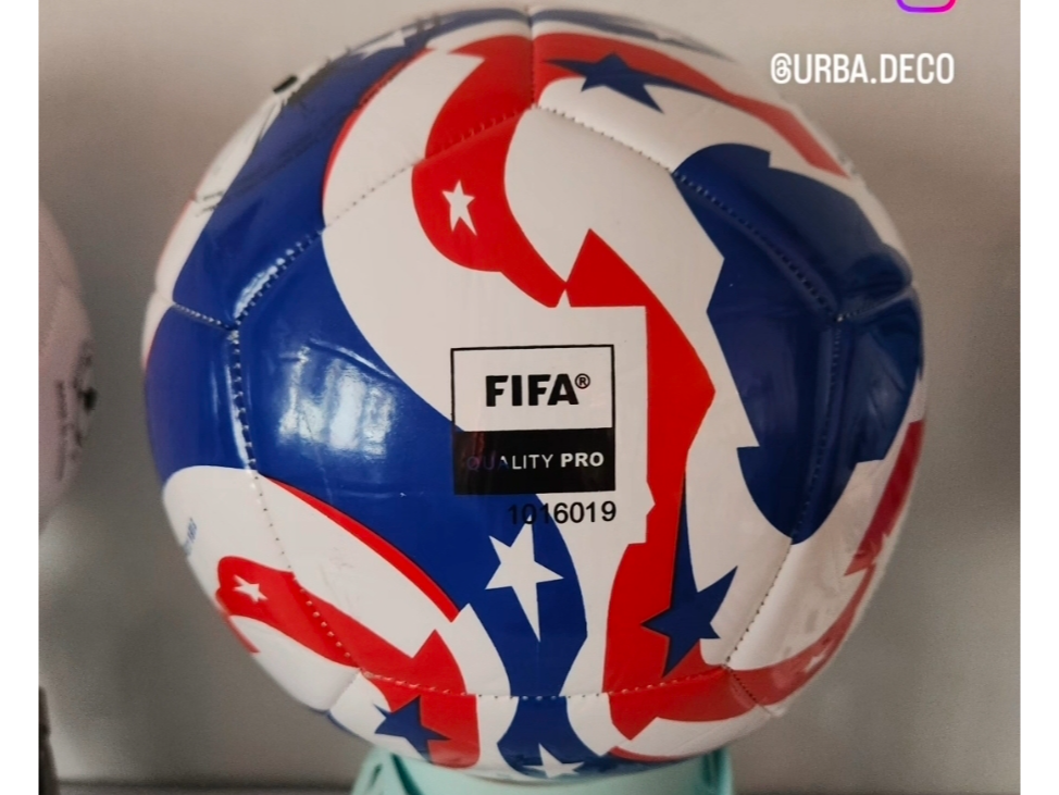 Pelota futbol N5 usa fifa