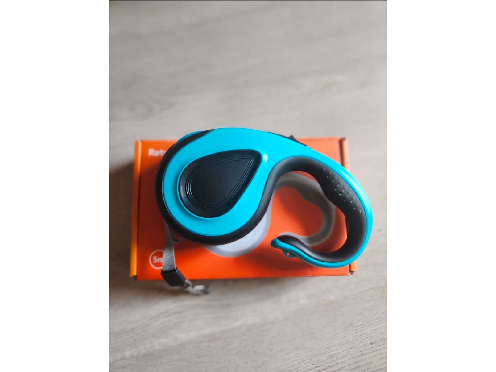 Correa paseo mascota basica