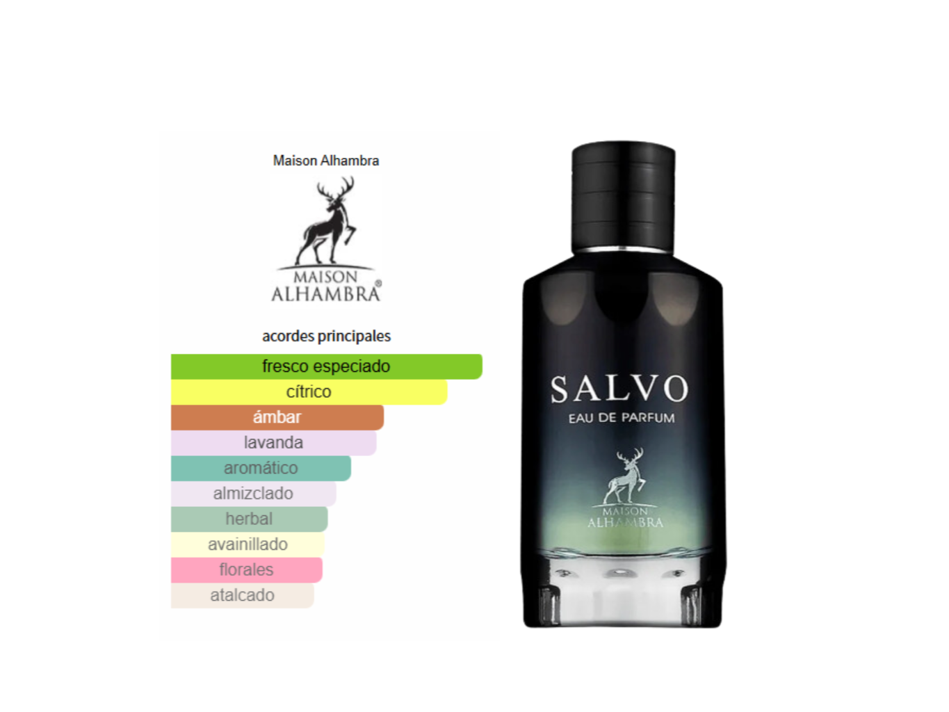 salvo eau de parfum men