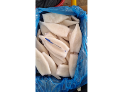 TUBO CALAMAR IQF x 7KG