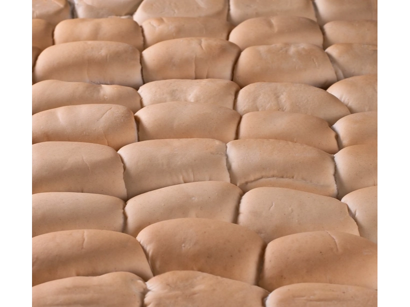 Pan Chip 60uni x7cm (para pata)