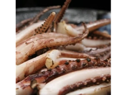 TENTACULO DE CALAMAR x 7 KG