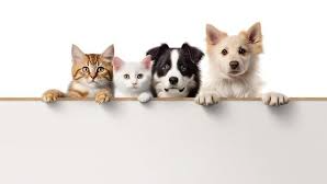 Alimentos para mascotas