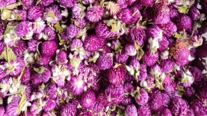 Hierbas/ Flores/ Deshidratados