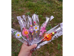 Bombillas