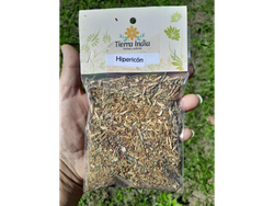 Hipericón o Hierba de San Juan