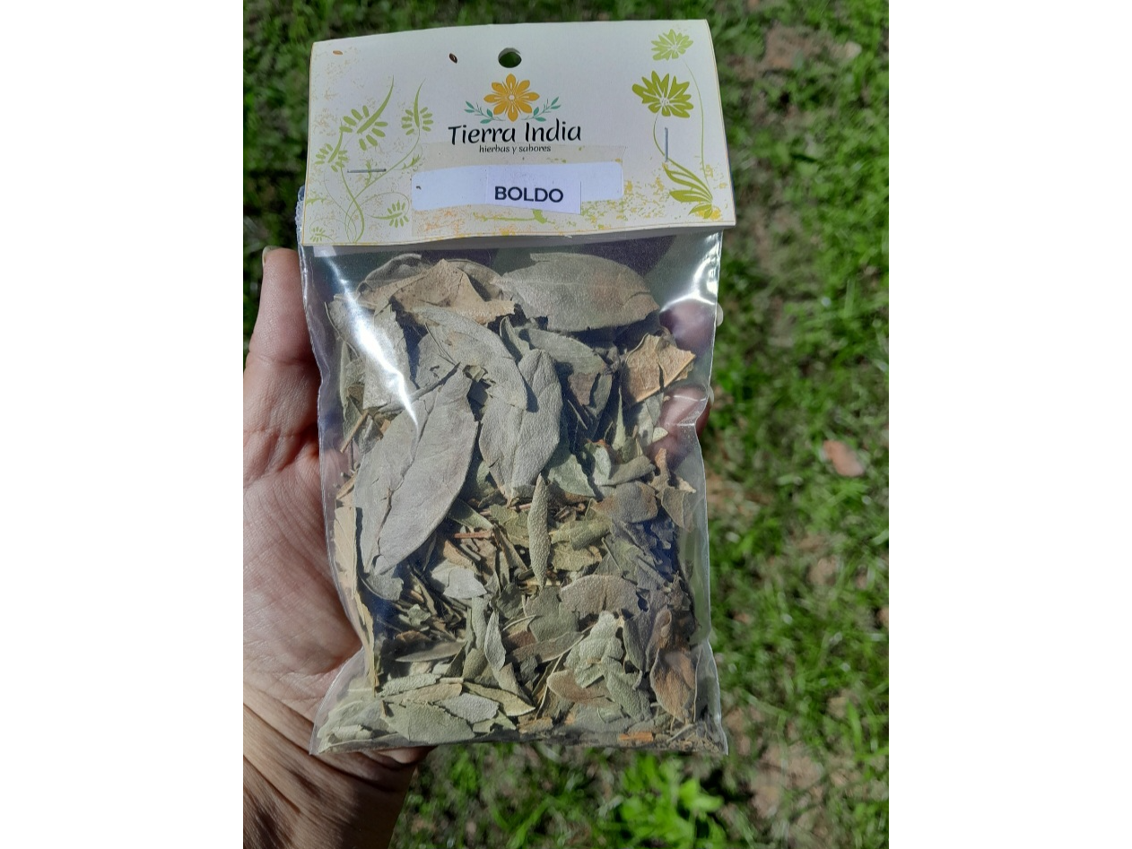 Boldo