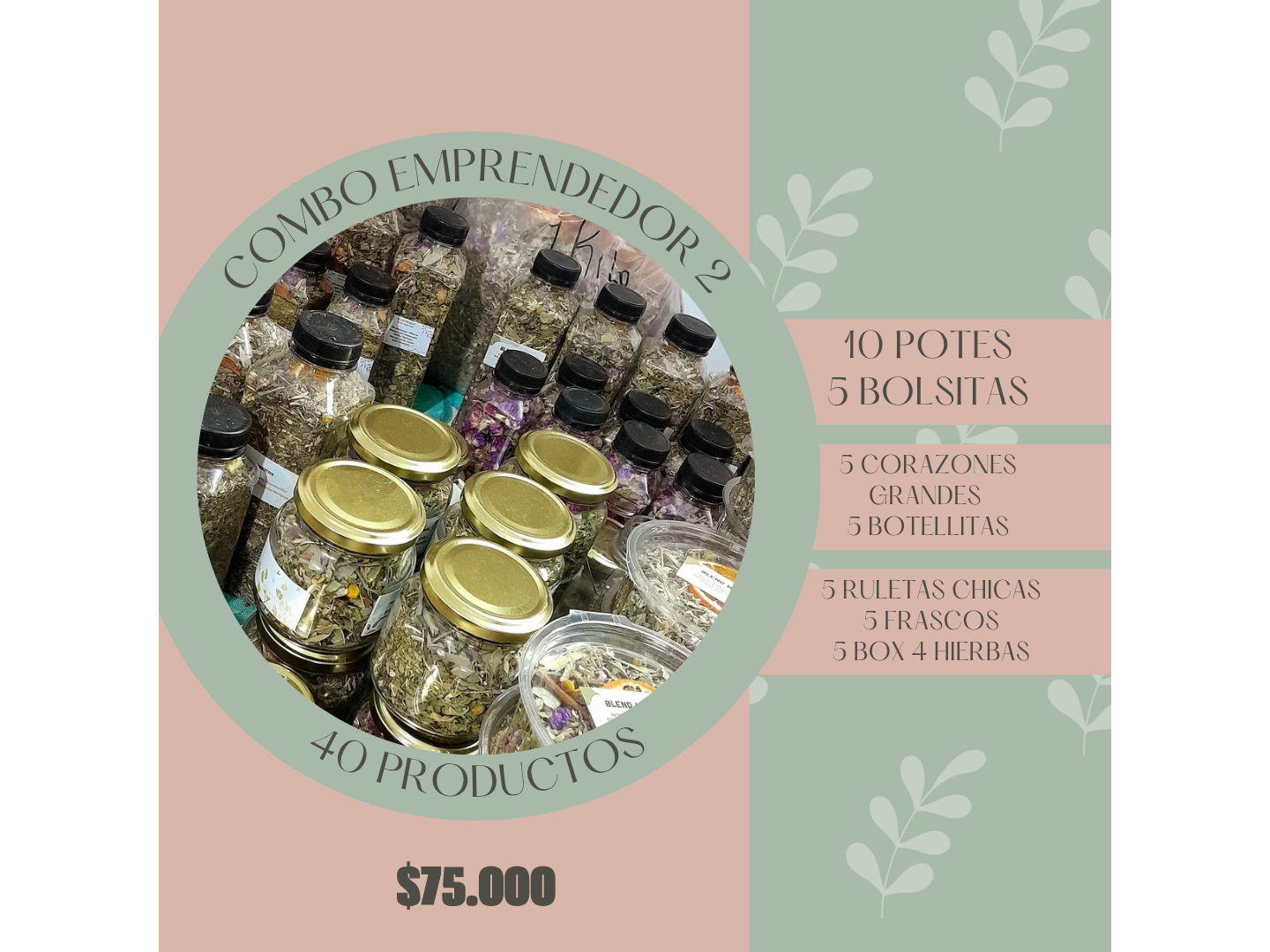 Combo emprendedor 2