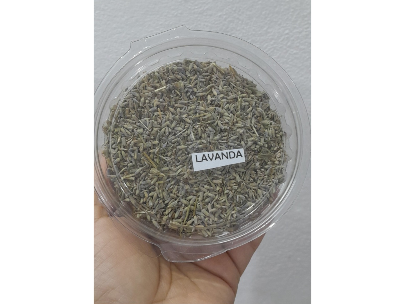 Lavanda