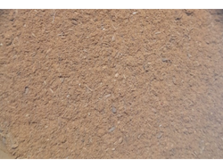 Clavo de olor molido