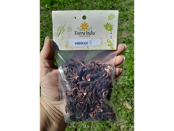 Hibiscus o Flor de Jamaica