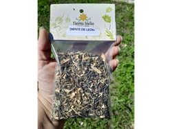 Diente de león (Amargon)