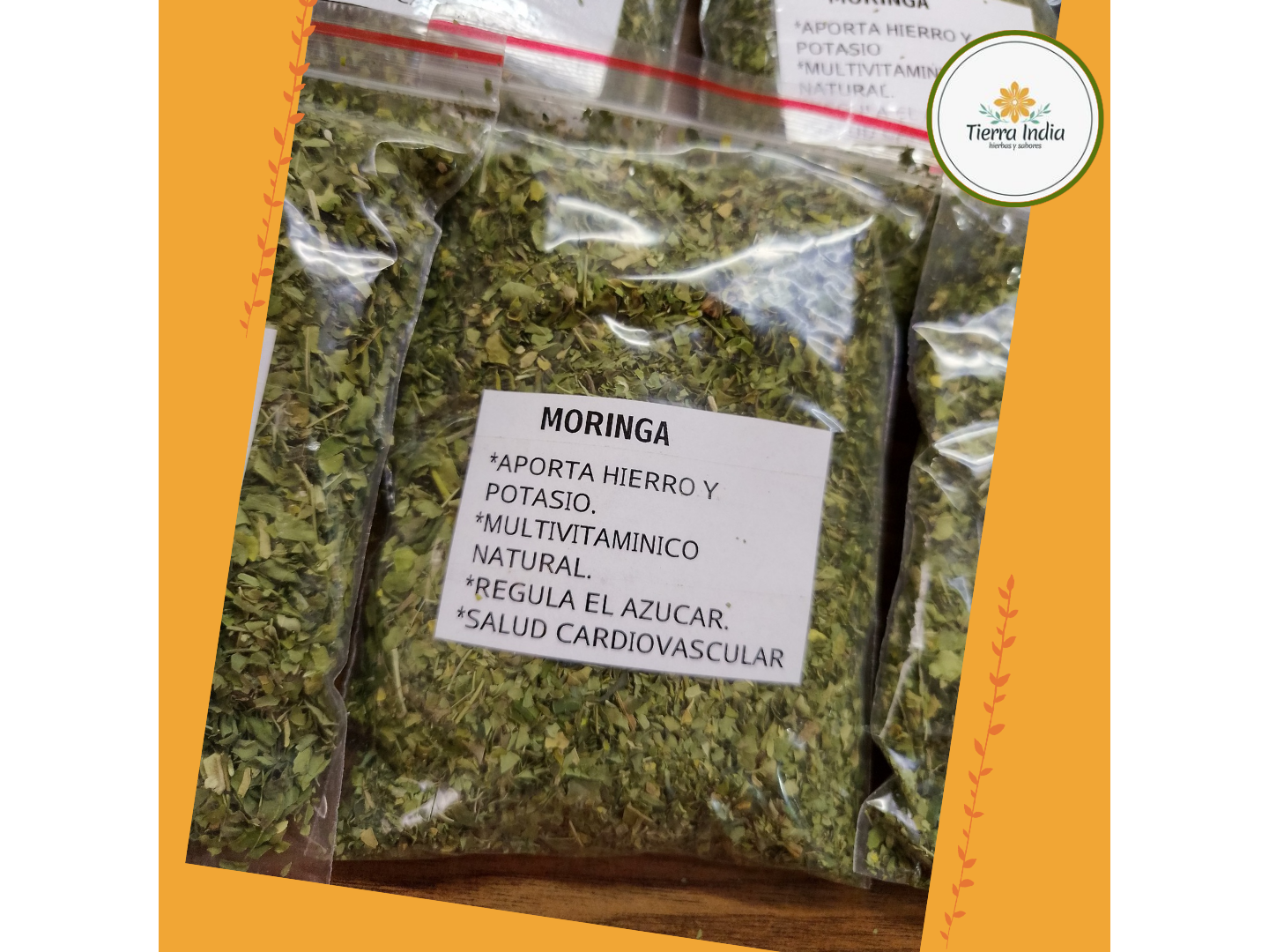 Moringa