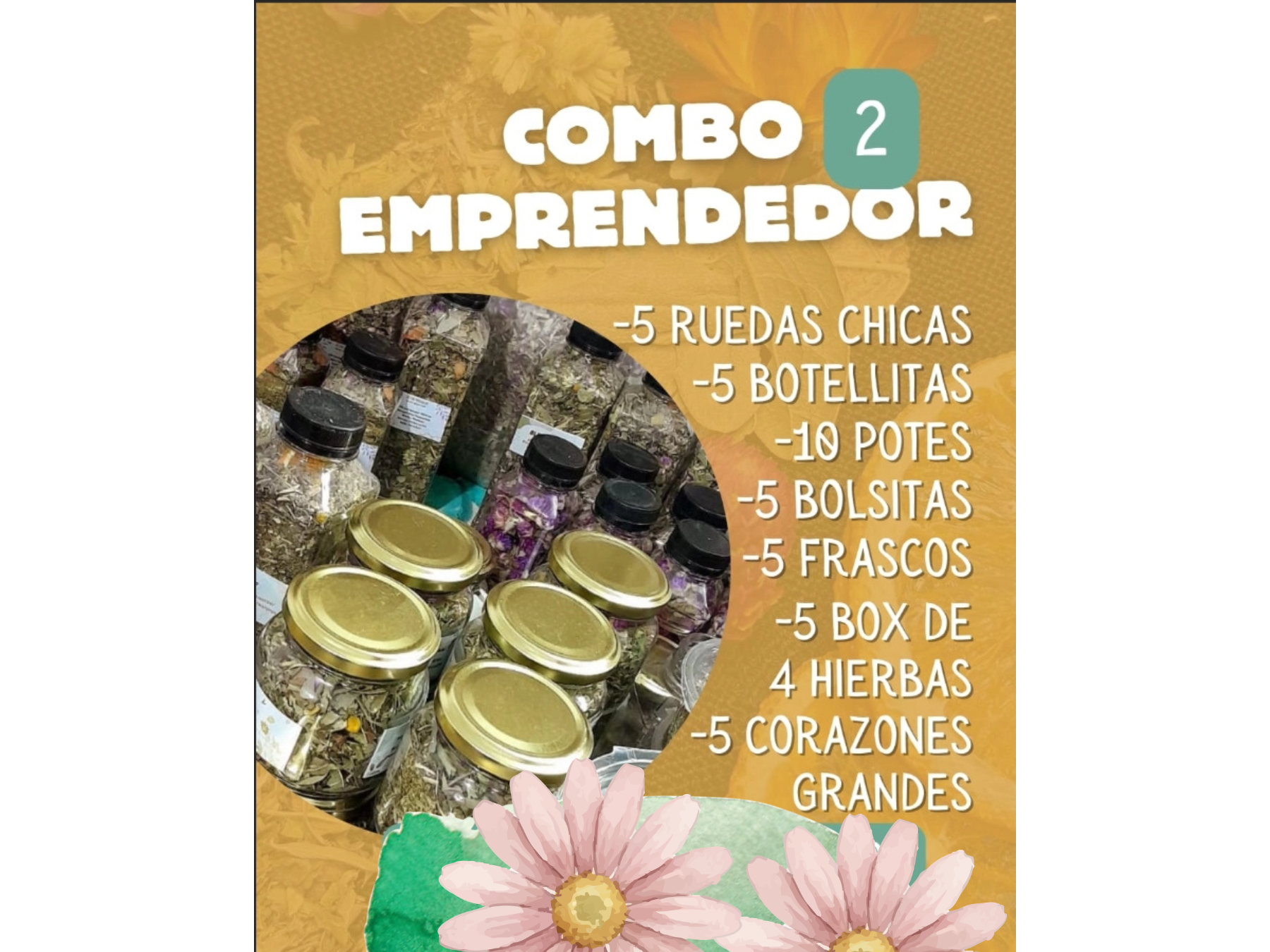 Combo emprendedor 2