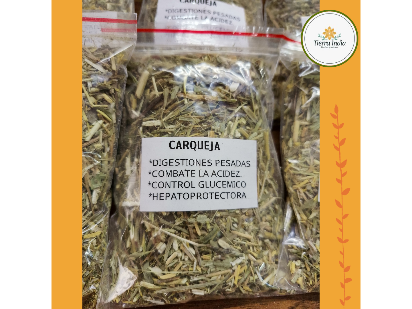 Carqueja