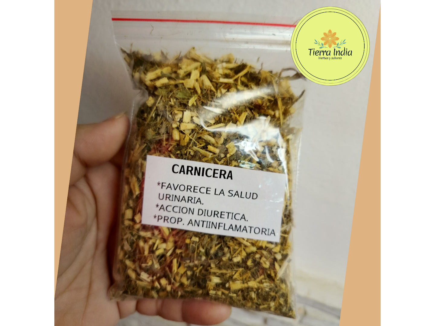 Carnicera