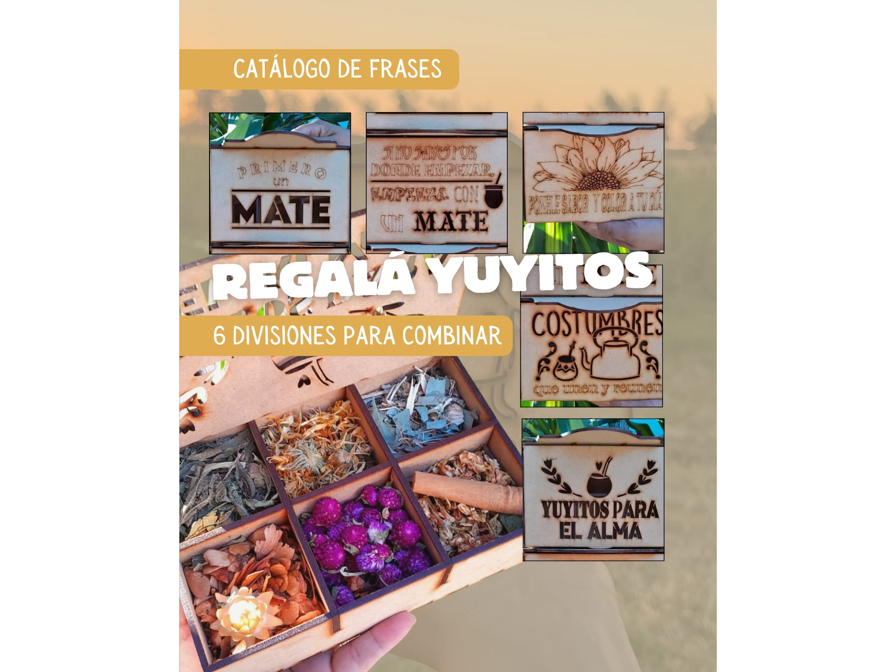 Cajita 6 divisiones