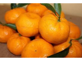 Mandarina criolla