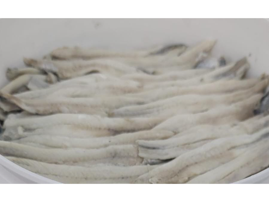 Boquerón