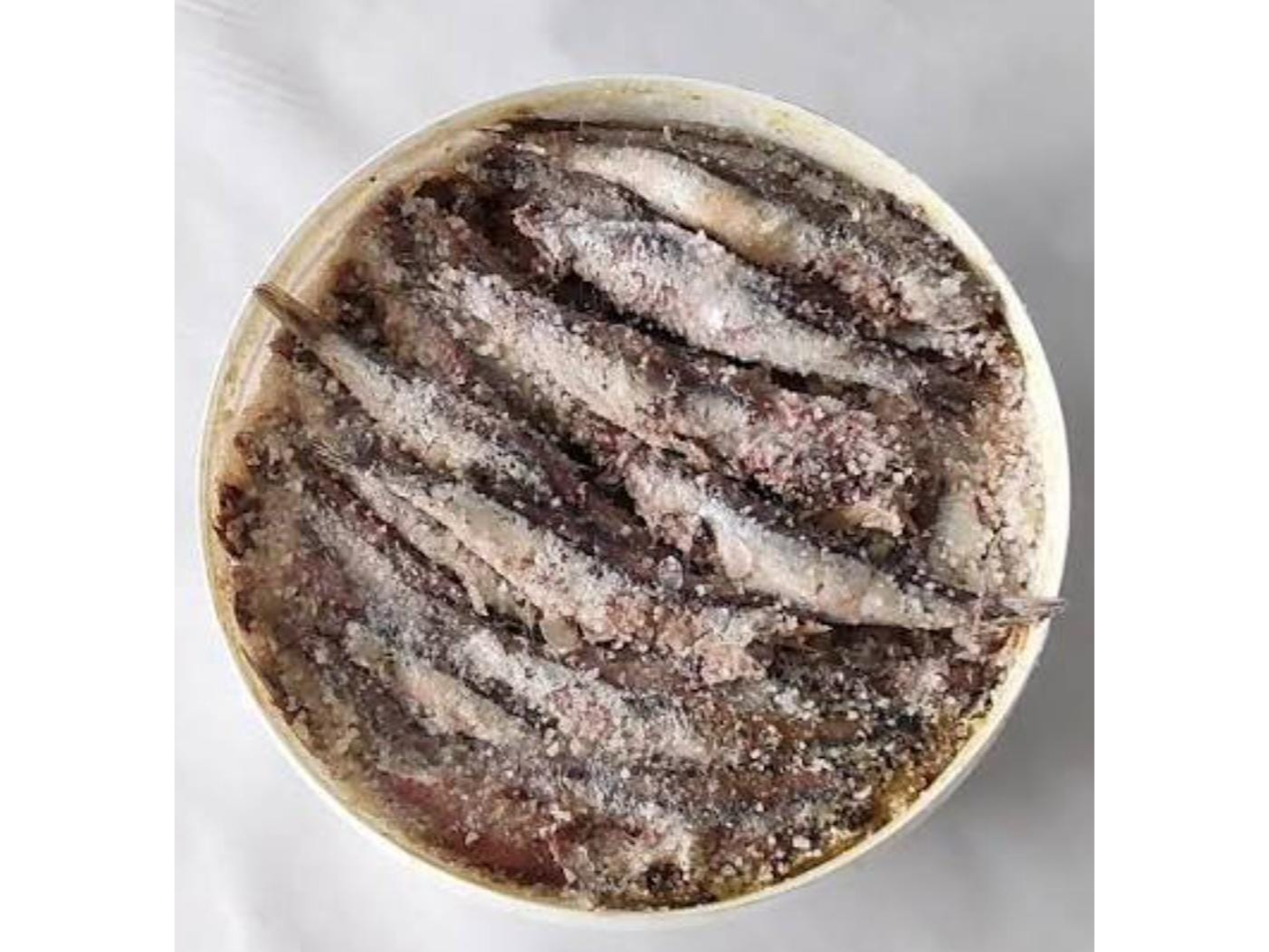 Anchoita en sal