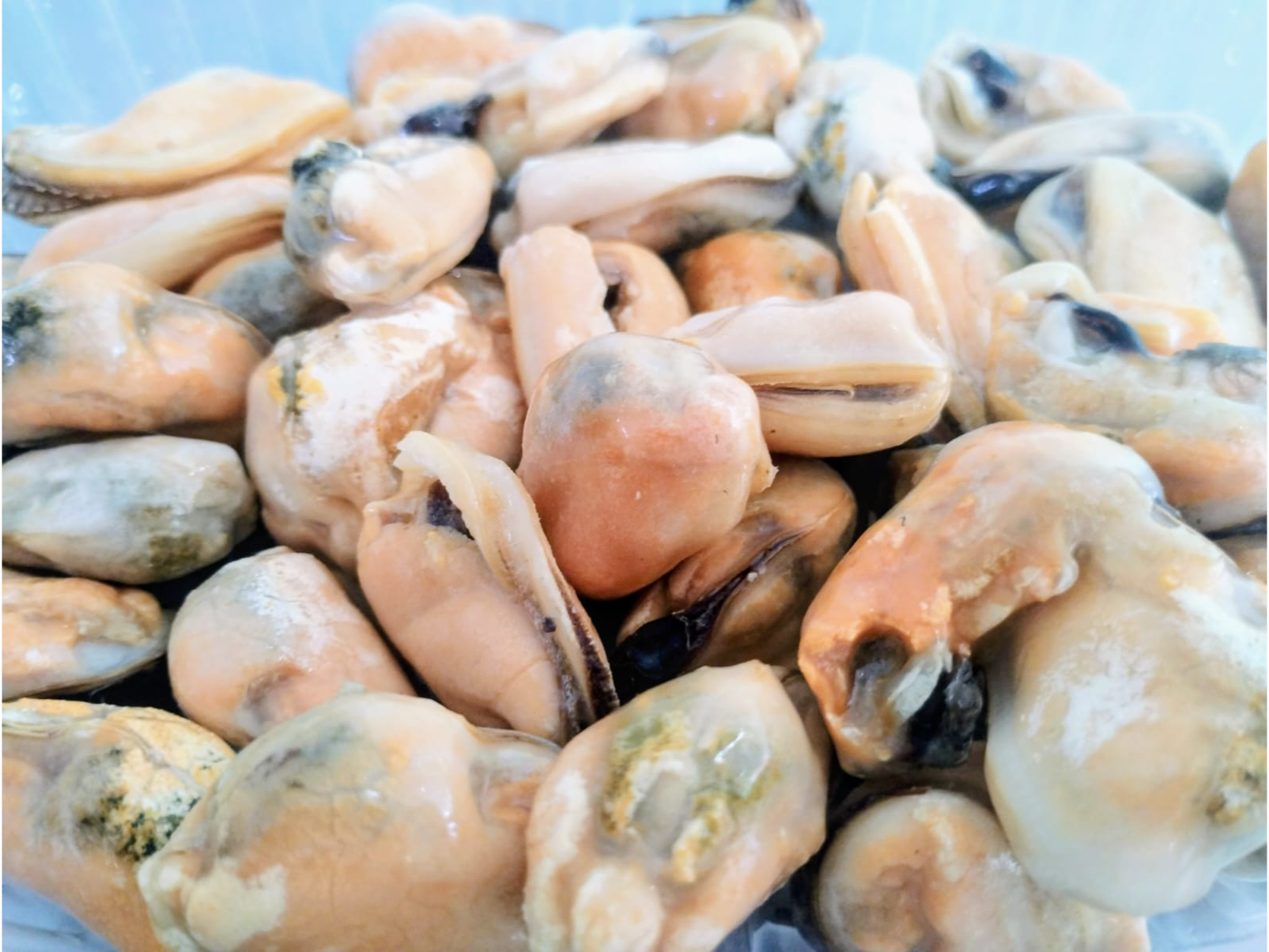 Mejillones pelados
