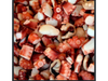 Pulpo cocido