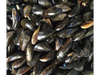 Mejillones enteros