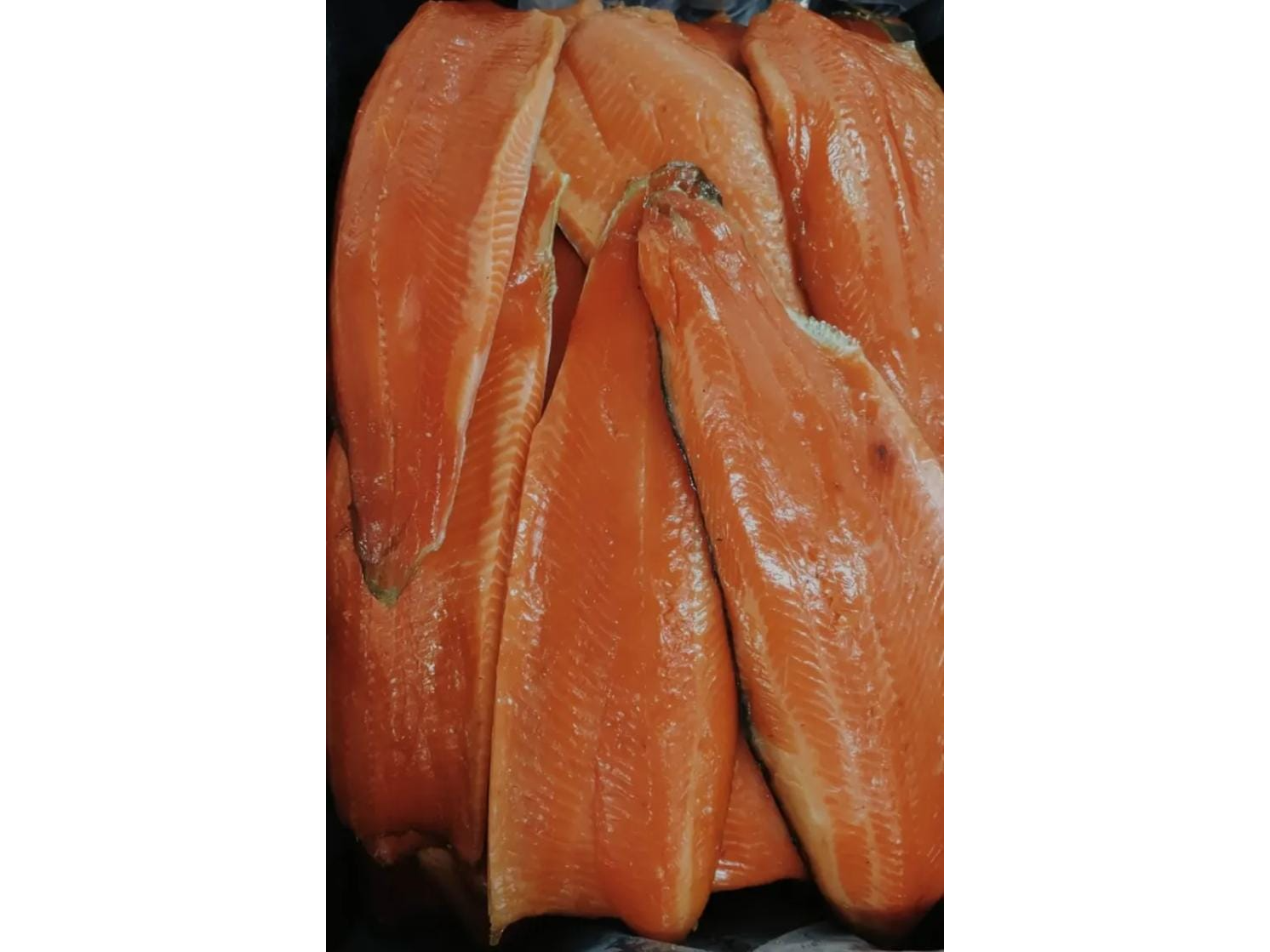 Filet de Truchon fresco