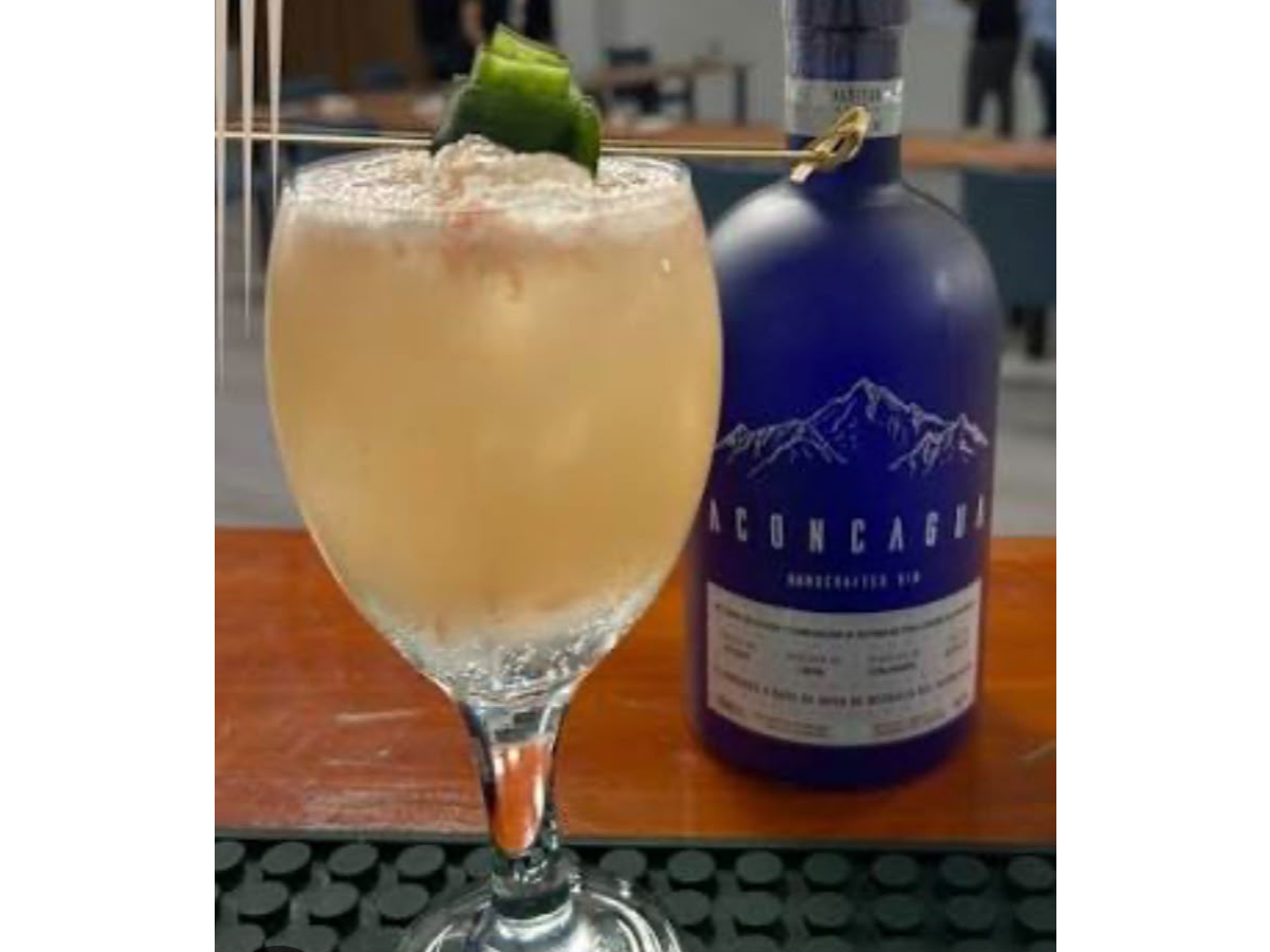 Promo 2 medidas de Gin Aconcagua