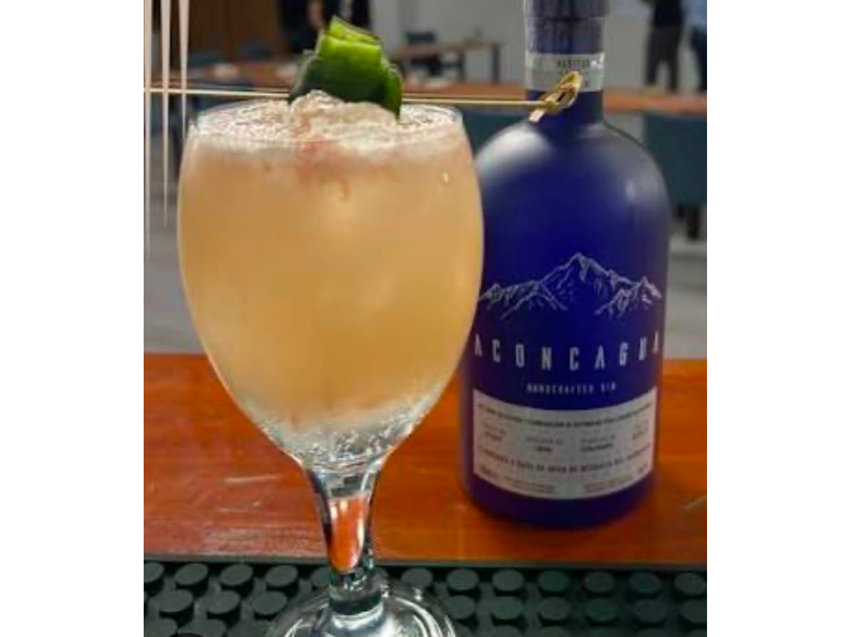 Gin Aconcagua
