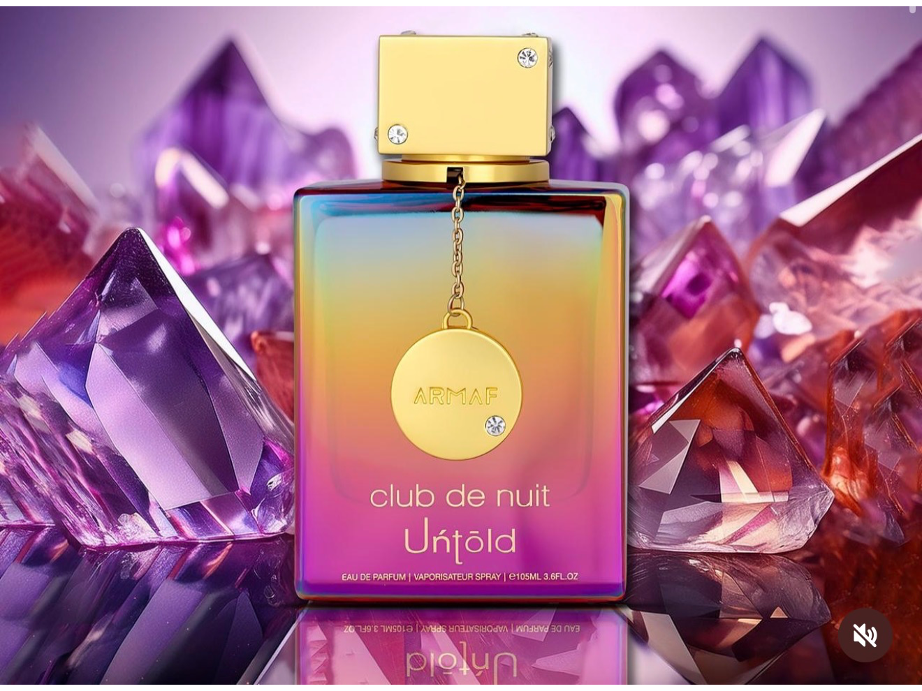 Club de nuit untold