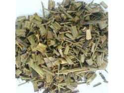 Carqueja