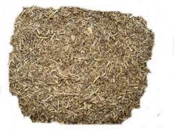 Incayuyo Hoja