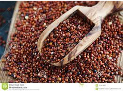 Quinoa Roja