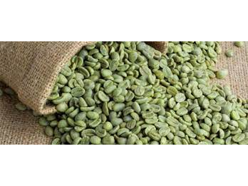 Cafe Verde en Grano x 1Kg