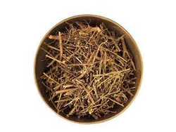 Altamisa