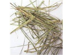 Lemon Grass