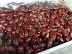 Datil deglet Nour Argelia