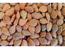 Almendras Guara