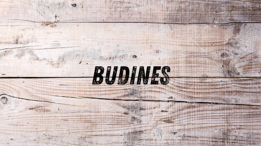 Budines